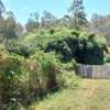 0.5 ac Residential Land at Muthithi thumb 14