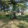 5 Bed House with En Suite in Kileleshwa thumb 7