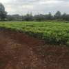 5000 ft² residential land for sale in Ngecha thumb 14