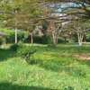 1.1 ac Residential Land at Mzima Spring thumb 1