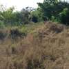 1/4 acre Land for sale in diani thumb 2