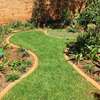 Landscaping & Gardening Services Kitisuru thumb 9