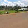 1,000 m² Land in Kikuyu Town thumb 13