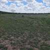 AFFORDABLE 50 BY 100 PLOT FOR SALE IN KONZA thumb 1
