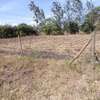 QUARTER ACRE LAND FOR SALE AT KENOL TOUCHING HIGHWAY. thumb 11