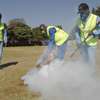 BED BUG Fumigation & Pest Control Services Kiserian/Ngara thumb 1