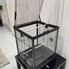 Sweet and lovely hand-reared parrots for sale thumb 6