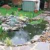 Pond maintenance/ Pond Installation/Pond leak repair Pros. thumb 10