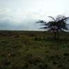 Land at Nanyuki-Rumuruti Rd thumb 16