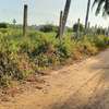 15 ac Land at Bomani thumb 10