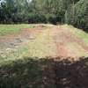 Lovely Quarter ( 1 / 4 ) Acre Land in Ngong thumb 4