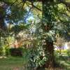 5 Bed House with En Suite in Kileleshwa thumb 1