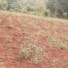 0.1 ha residential land for sale in Ngong thumb 3