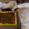 Beekeeping Services : We help beekeepers pollinate and produce honey by saving their bees, utilizing automated modern technology.Call Us for Information thumb 2
