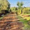 Land in timau for sales thumb 1