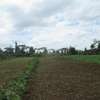 3.25 Acres Of Land For Sale in Ruku/Wangige thumb 10