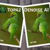 Topaz Denoise AI 3 thumb 2
