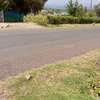 1 Acre Plot Of Land at Benevue for sale thumb 4