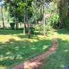 1 acre piece of land with 6 bedroom house. thumb 1