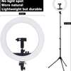 Ring Light 18 inch with Tripod Stand (2700-7000K) for Phone thumb 1
