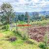 0.05 ha Residential Land at Muthiga thumb 3