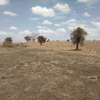 180 Acres of Land For Sale in Kipeto, Isinya thumb 3