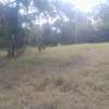 4 ac Land in Karen thumb 3