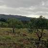 5 Acres  for Sale in Subukia thumb 2