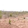 0.25 ac Residential Land at Diani Beach Road thumb 13