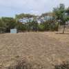 0.25 ac Land in Ruai thumb 4