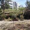 Commercial Land in Kilimani thumb 16