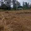 40*80ft plots for sale at Kenol town in Muranga county thumb 6