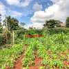 0.1 ha Residential Land at Gikambura thumb 20