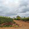 Residential Land at Migaa Golf Estate thumb 2