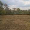 One acre land for sale thumb 3