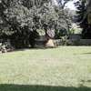 4 Bed House with Garden in Kileleshwa thumb 27