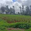 0.05 ha Residential Land at Kikuyu Kamangu Ruthigiti thumb 0