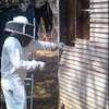 Beekeeping Services : We help beekeepers pollinate and produce honey by saving their bees, utilizing automated modern technology.Call Us for Information thumb 5