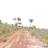 0.25 ac Residential Land at Diani Beach Road thumb 4