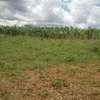 1,000 Acres of Land is Available For Sale in Nanyuki thumb 0