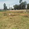 0.113 ac Residential Land in Ngong thumb 5