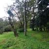 Land at Lavington thumb 17