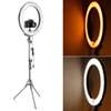 ED Ring Light Lamp 3 Light Modes & Dimmable Brightness thumb 0