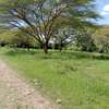Land at Roysambu thumb 4