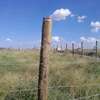 Land for sale in isinya thumb 11
