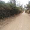 0.25 ac Residential Land in Ngong thumb 2
