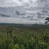 5 ac Land in Kitisuru thumb 0