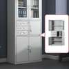 Office Cabinet :  Metallic Office Storage  Cabinet thumb 0