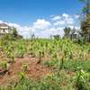 Prime Residential plot for sale in kikuyu, kamango thumb 5