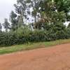 Residential Land at Kinanda Road thumb 4